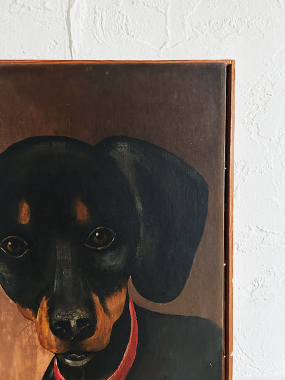 Vintage Doxie Portrait