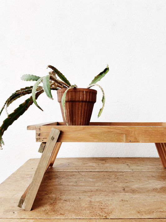Vintage Collapsible Tray Table