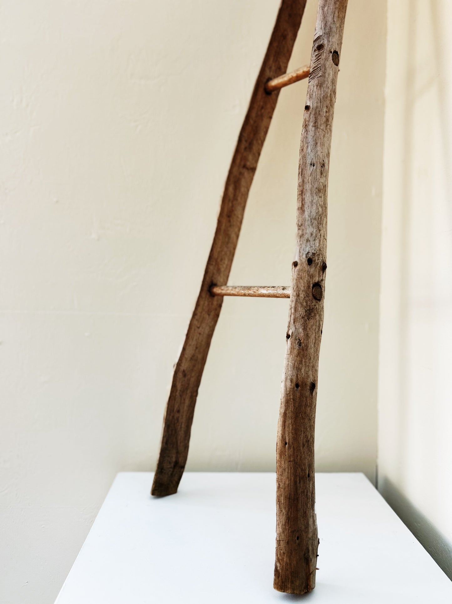 Primitive Wood Ladder