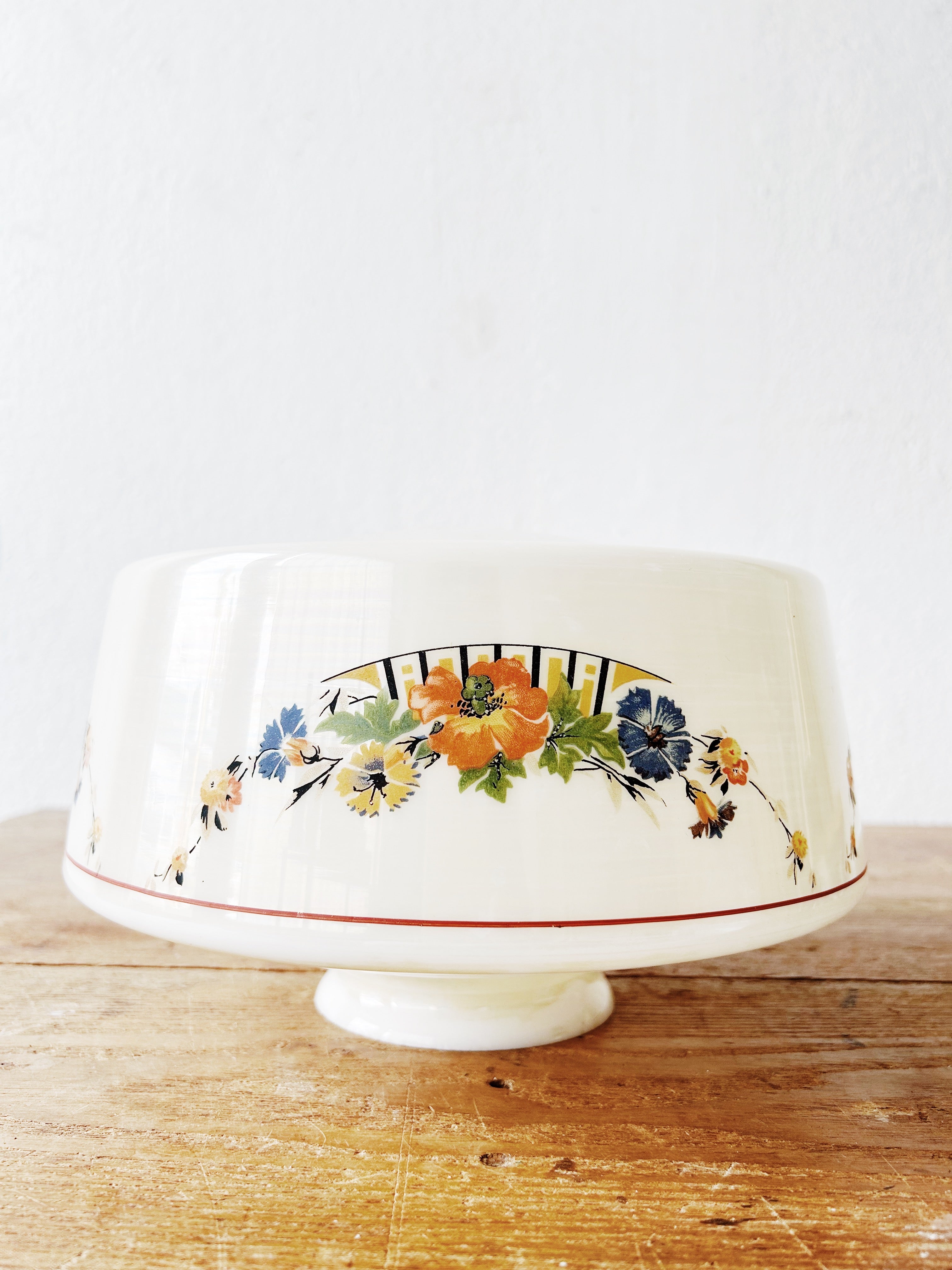 Vintage Hand Painted Glass Shade