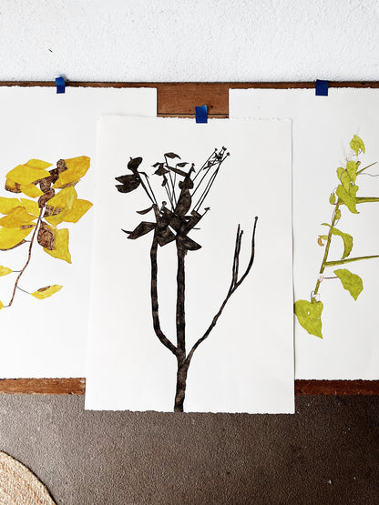 Original Botanical Watercolor