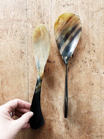 Vintage Big Horn Servers