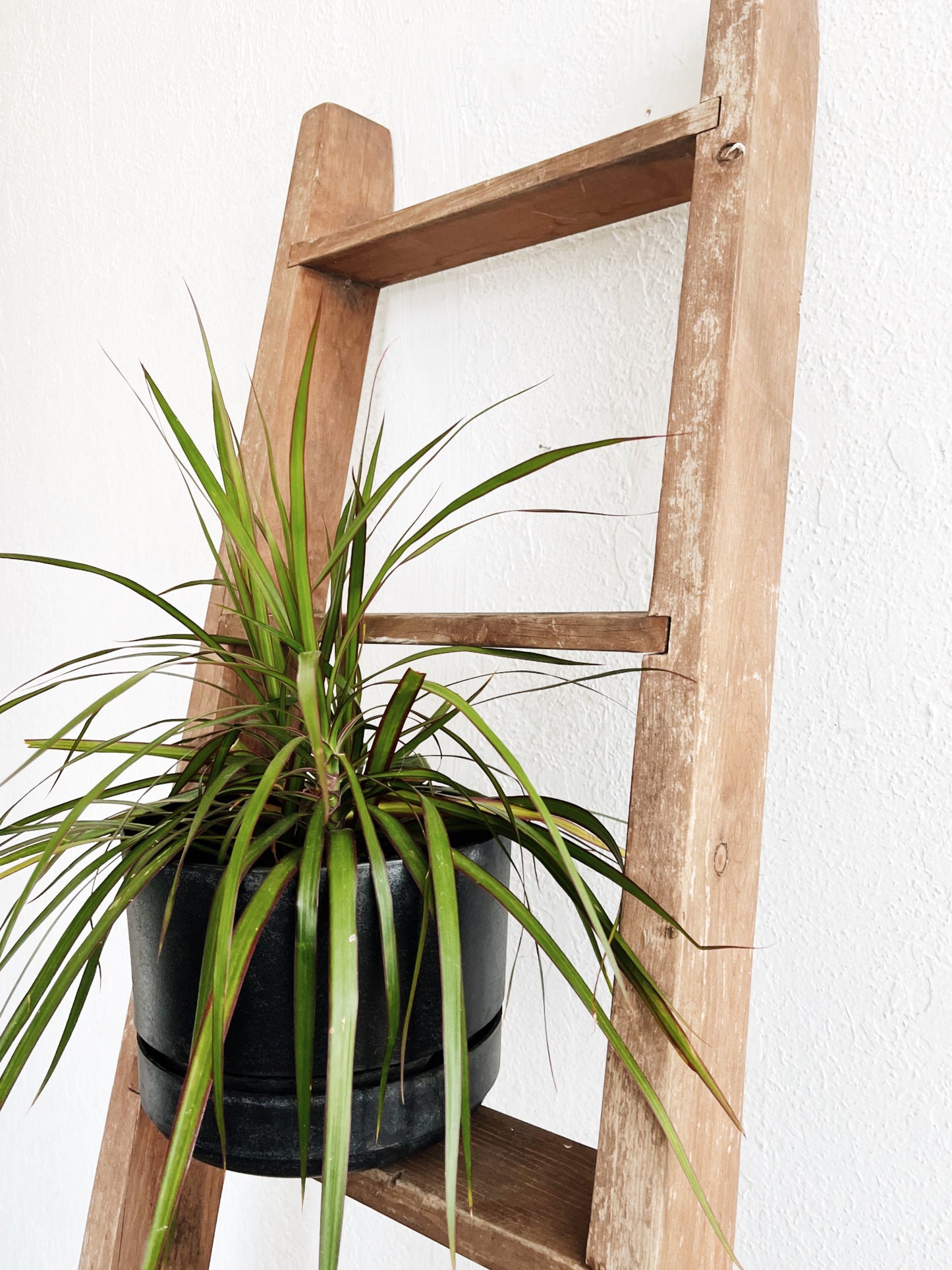 Vintage Wooden Bunk Ladder