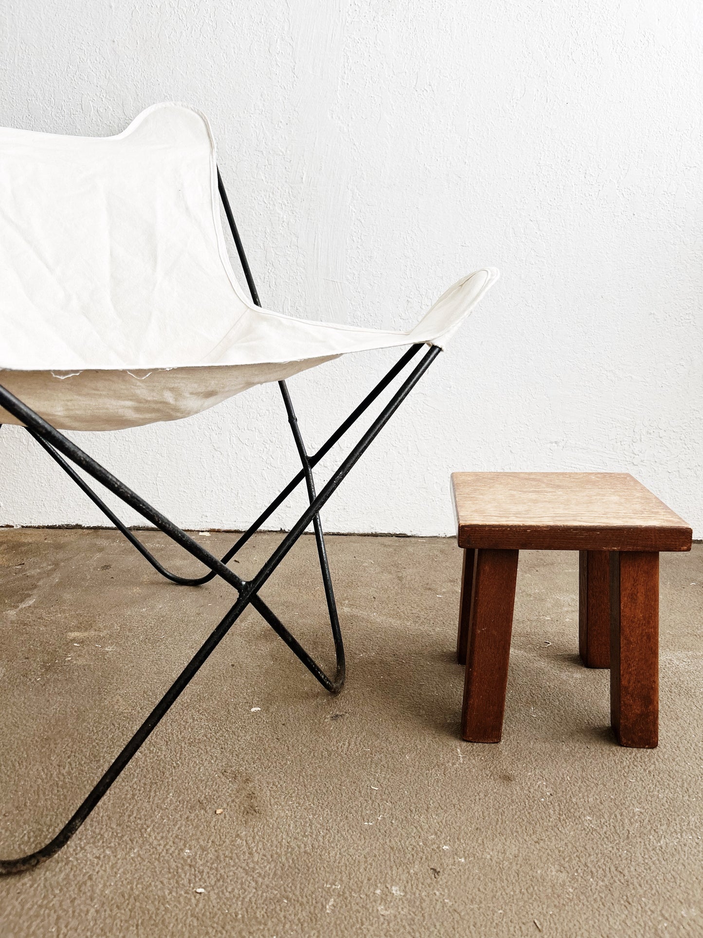 Vintage Butterfly Chair