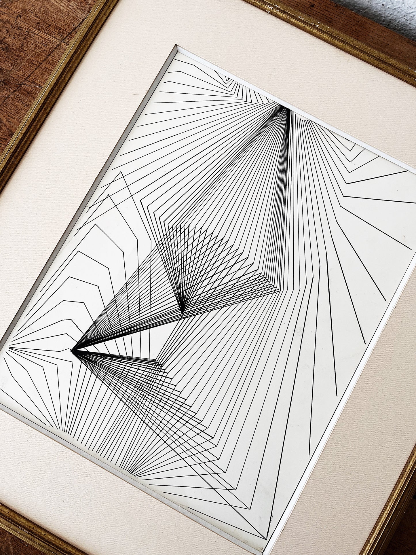 Original Pen and Ink Optic Drawing