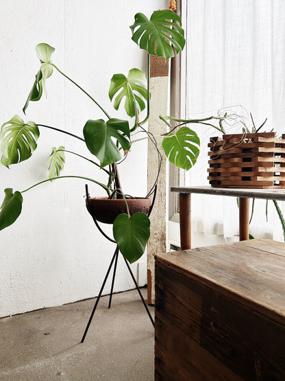 XL Mid Century Iron Plant Stand