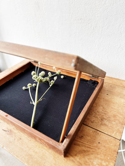 Vintage Display Case