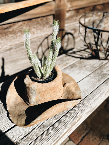 Fabulous Cowboy Hat Planter