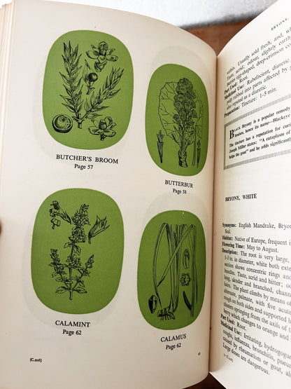 Potter’s New Cyclopaedia of Botanical Drugs and Preparations c1956