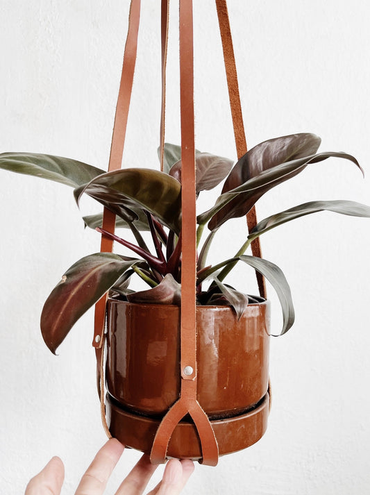 Handmade Leather Plant Hanger