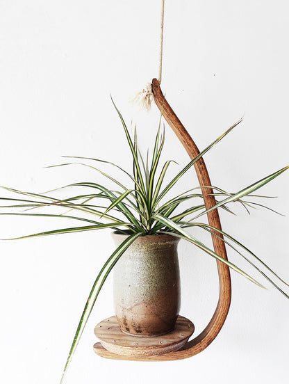 Vintage Bentwood Hanging Planter