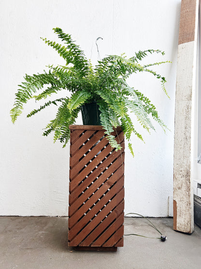 Vintage Illuminated Slatted Wood Plant Stand