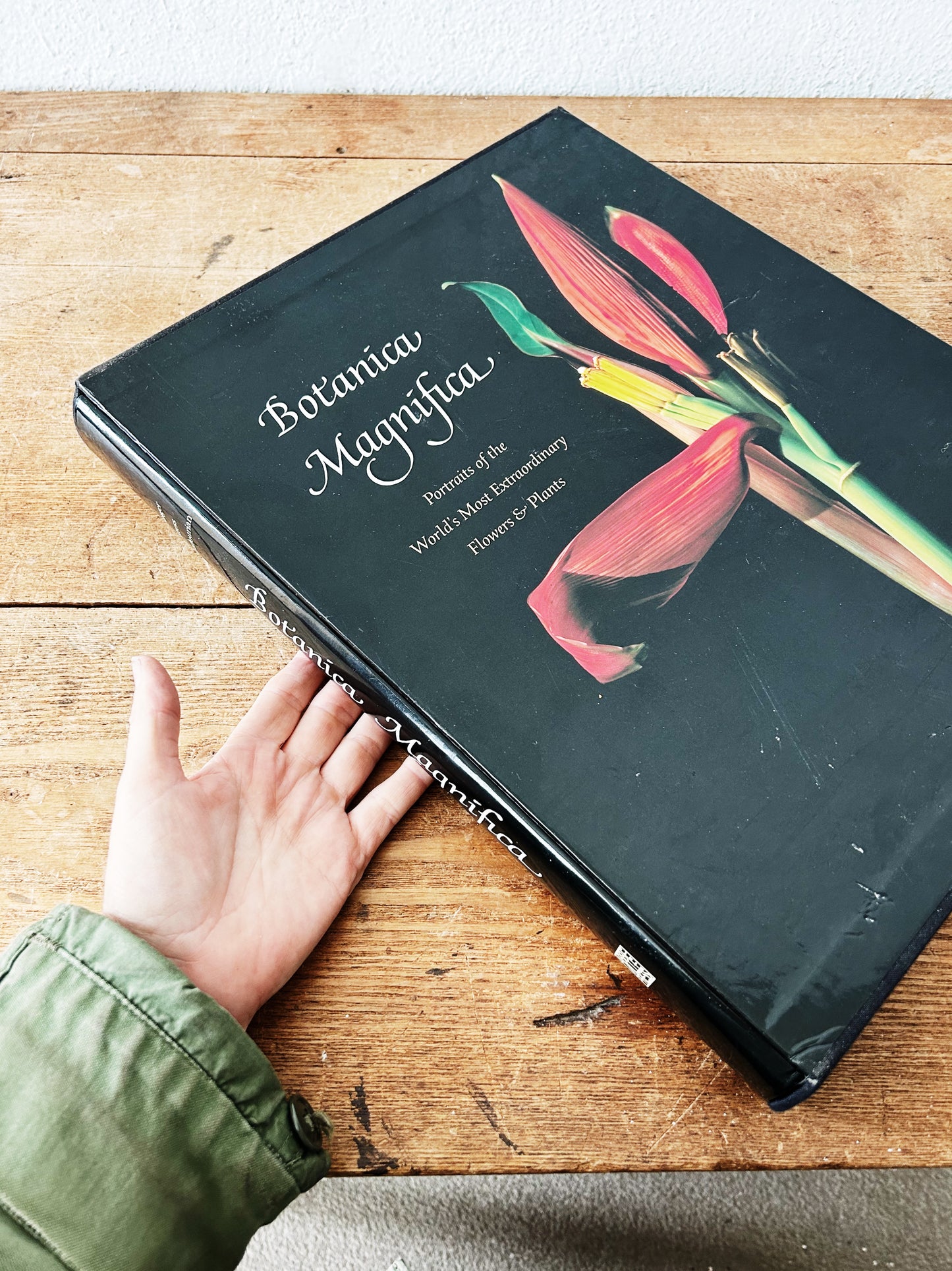 Botanica Magnifica Large Format Hard Cover Art Book