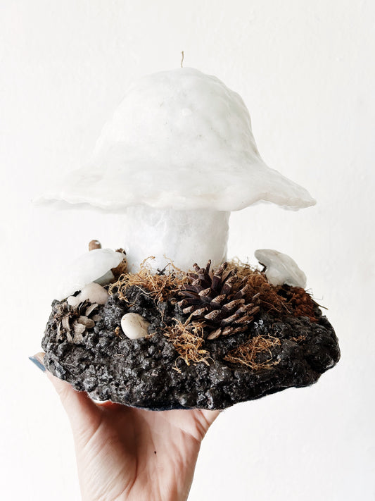 Magic Mushroom Candle Creation
