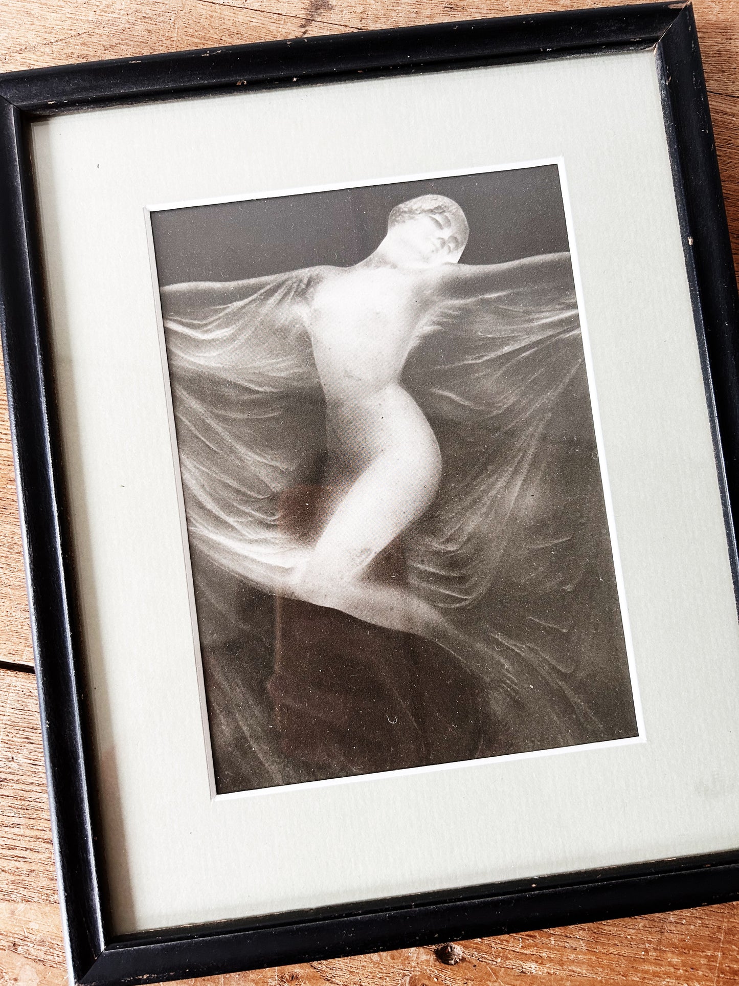 Vintage Lalique Glass Vase Framed Photo