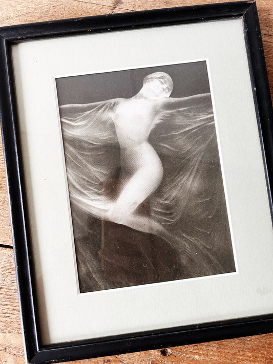 Vintage Lalique Glass Vase Framed Photo