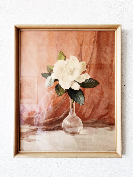 Vintage Framed Magnolia Litho