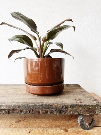 Vintage Industrial Trolley