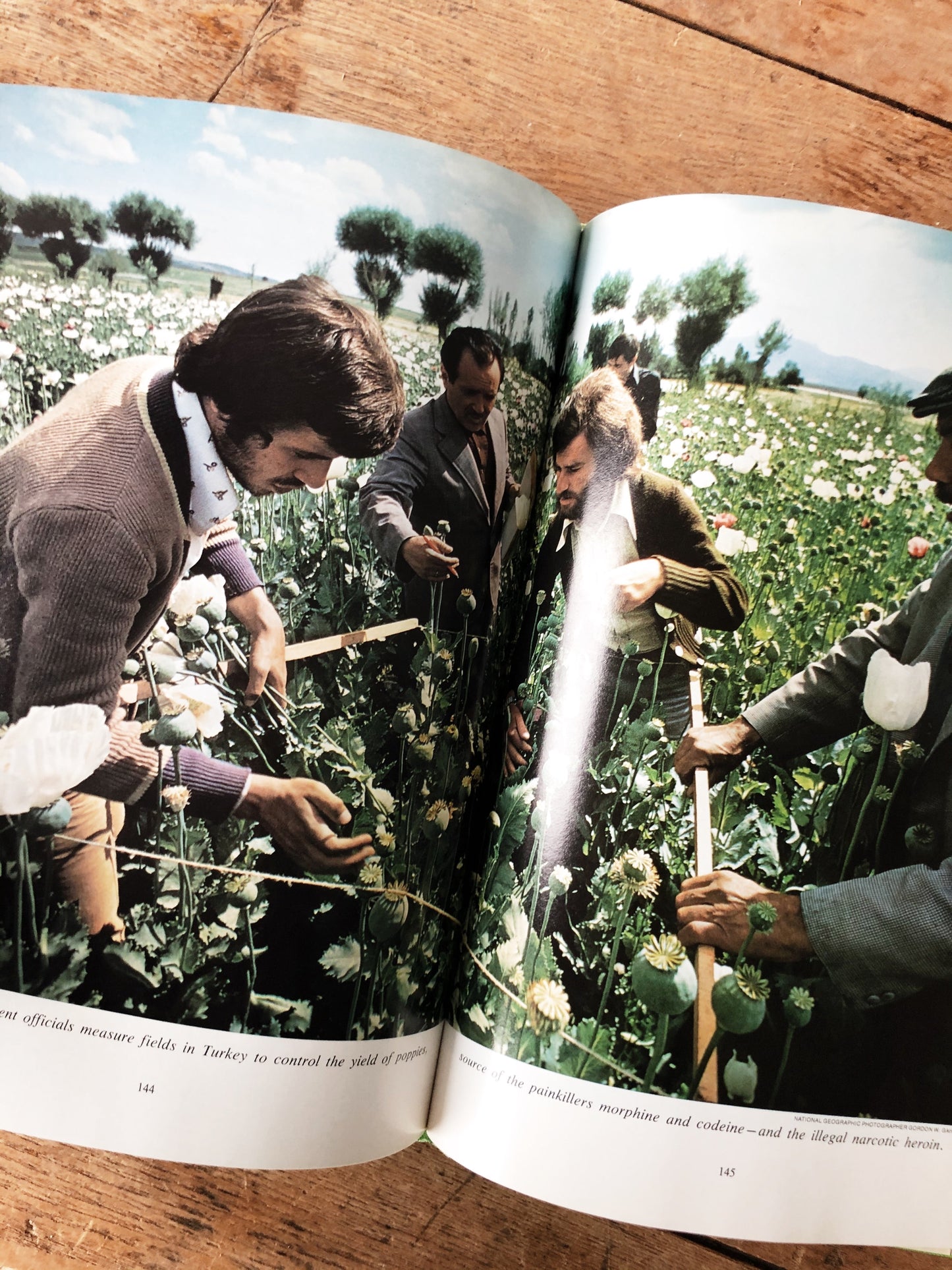 1970s Healing Arts Book