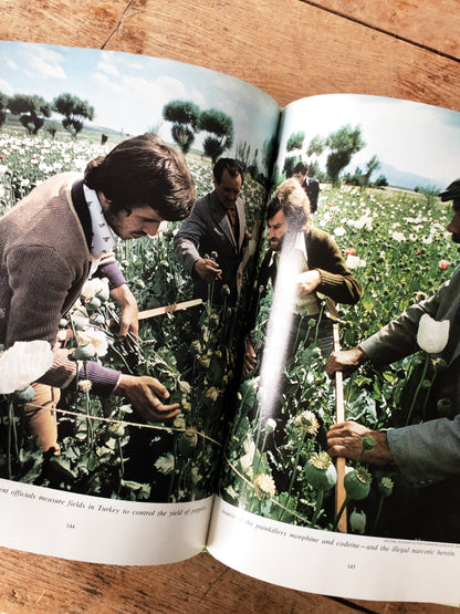 1970s Healing Arts Book