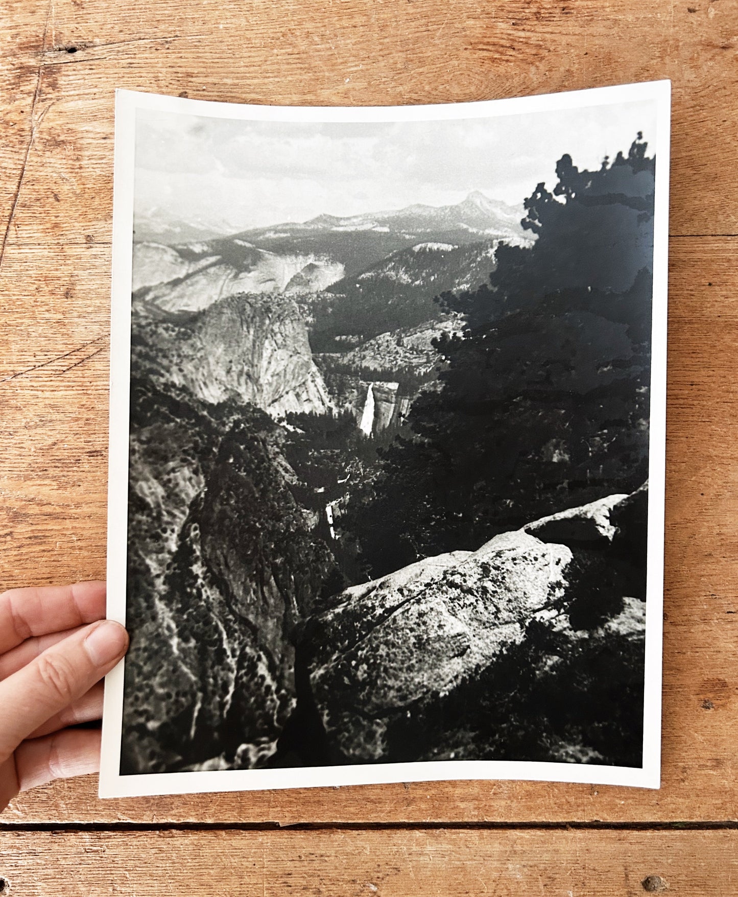 1940’s National Park Black and White Photo