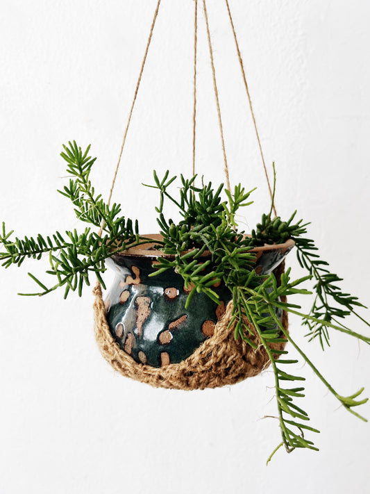 Rhipsalis Mesembryanthemoides in Handmade Ceramic Planter