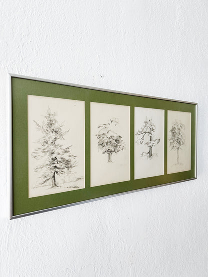 Vintage Original Framed Tree Study