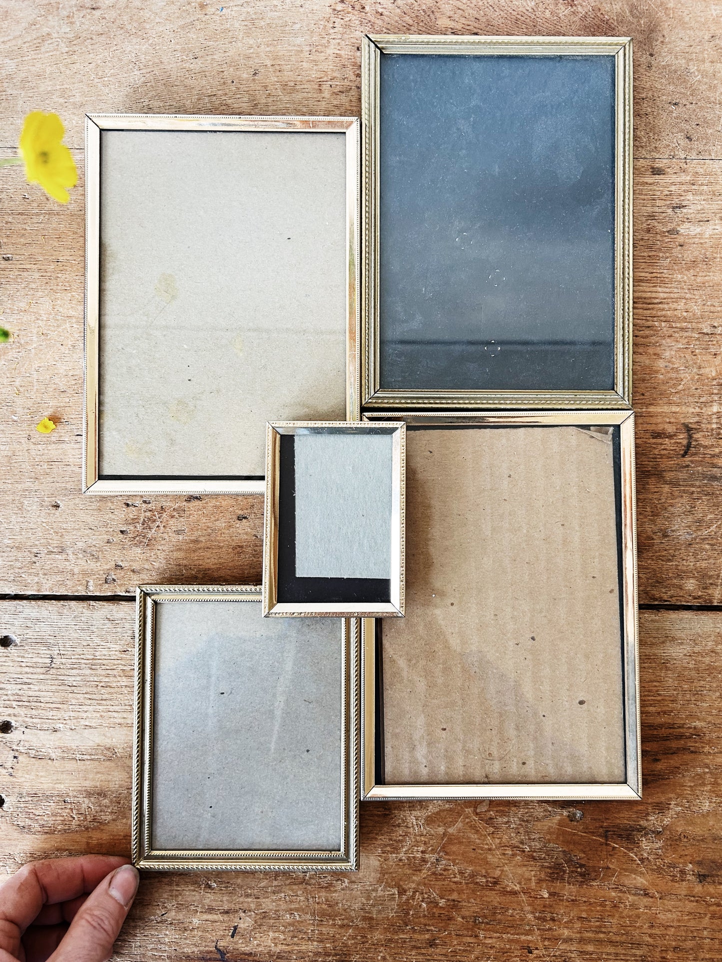Mid Century Frame Collection