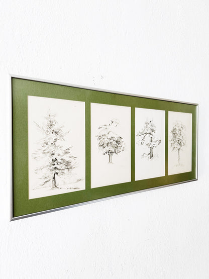 Vintage Original Framed Tree Study