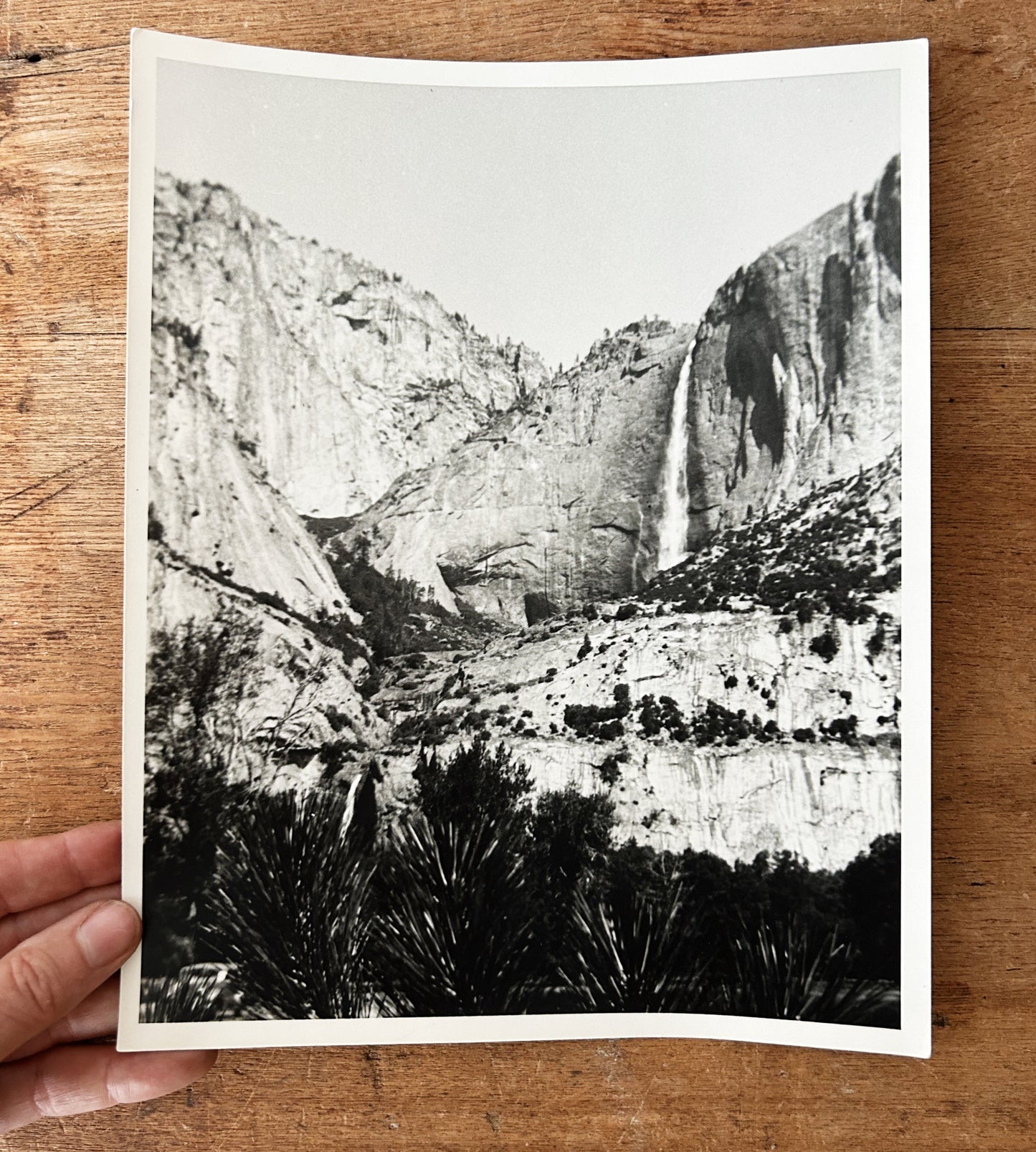 1940’s National Park Black and White Photo