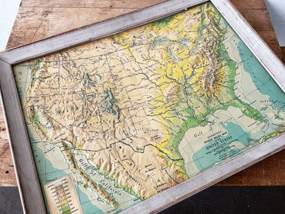Mid Century Framed Relief Map