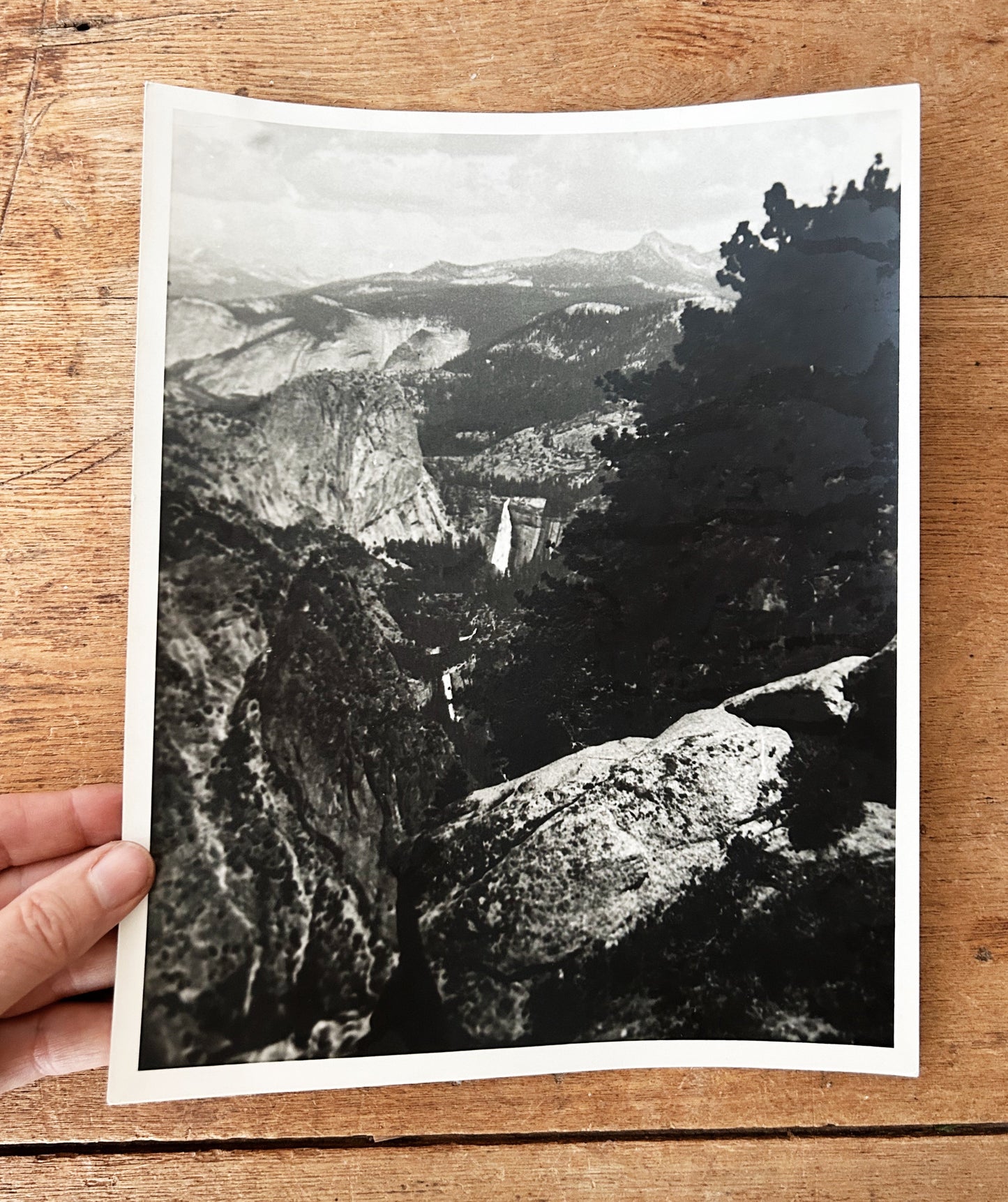 1940’s National Park Black and White Photo