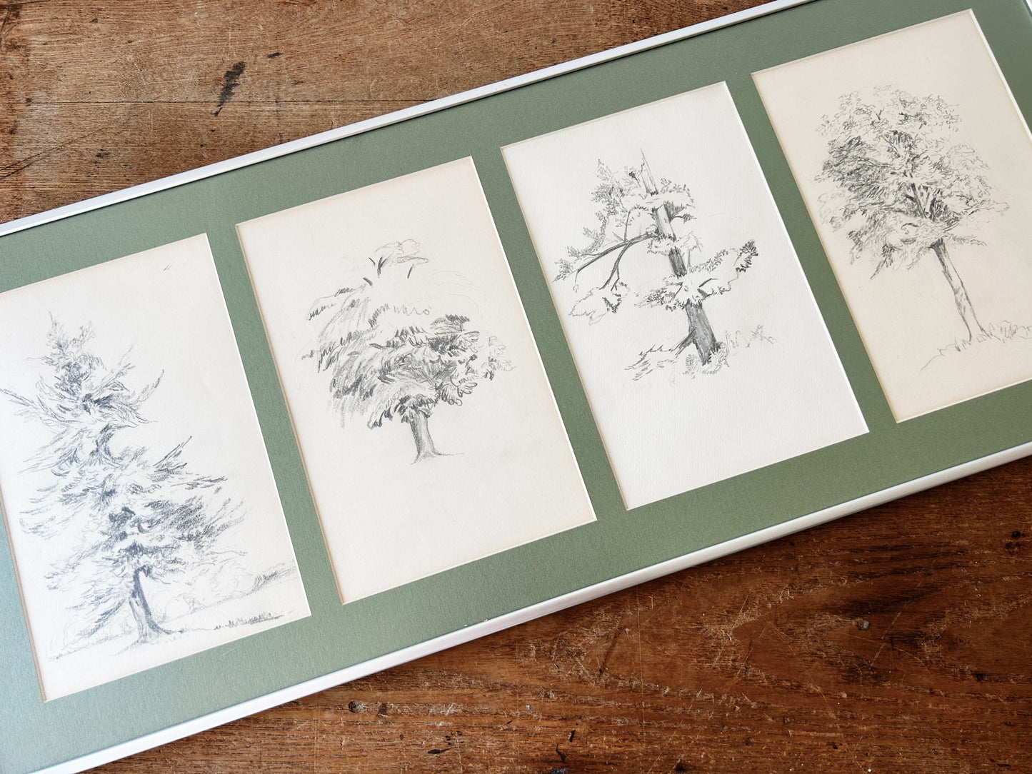 Vintage Original Framed Tree Study