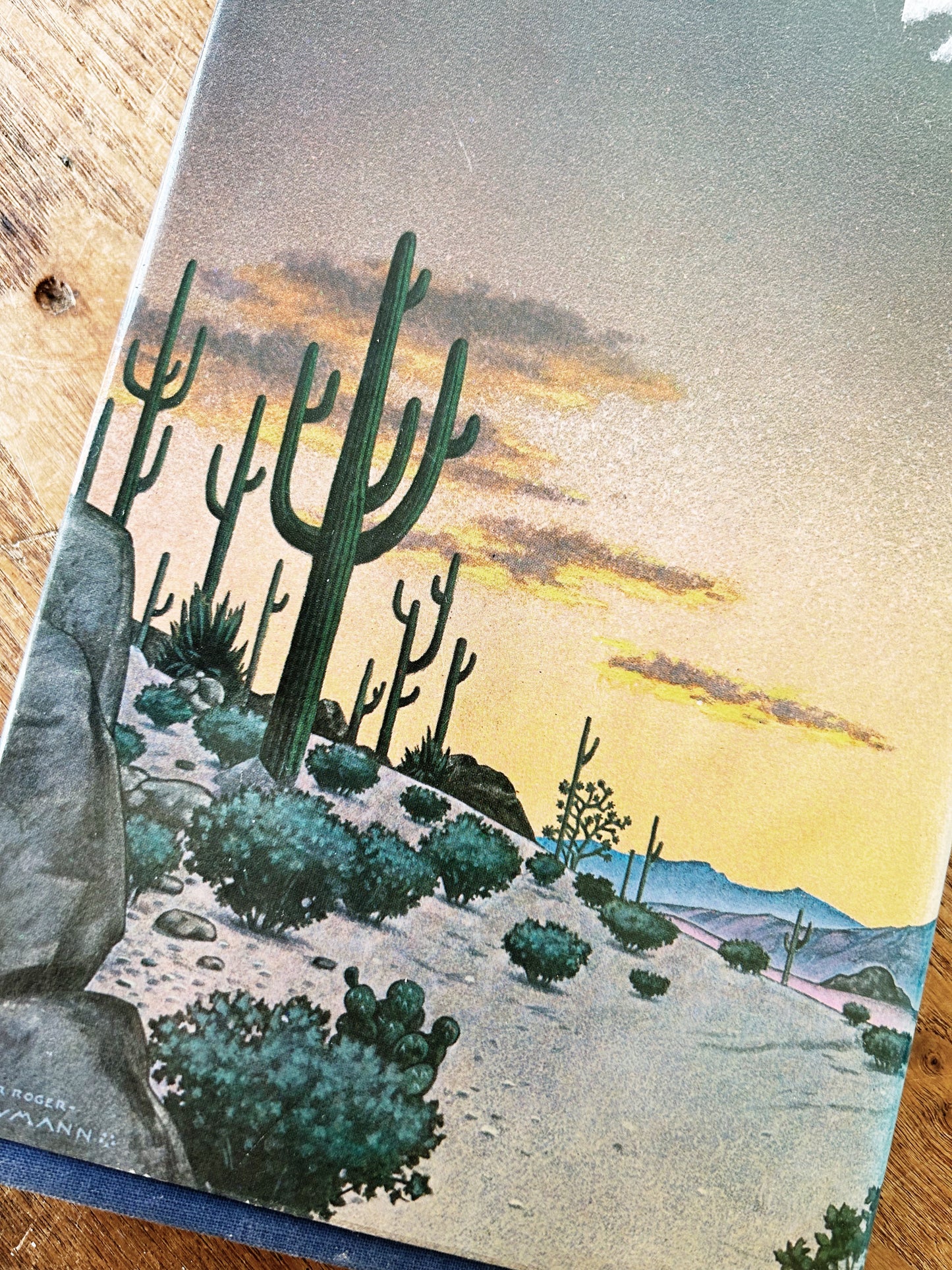 First Edition Carlos Castaneda Hardcover c1974