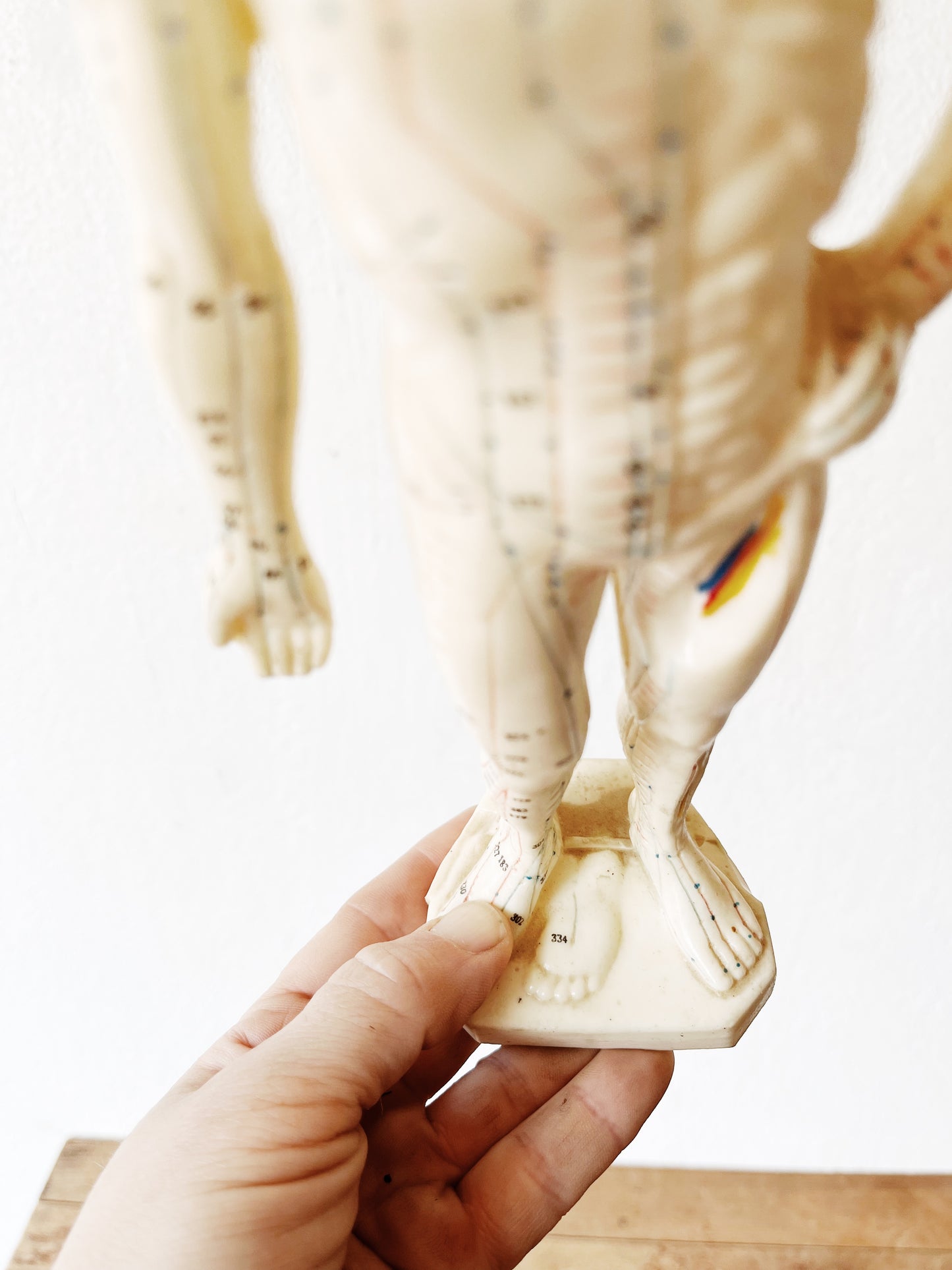 Vintage Reflexology Model