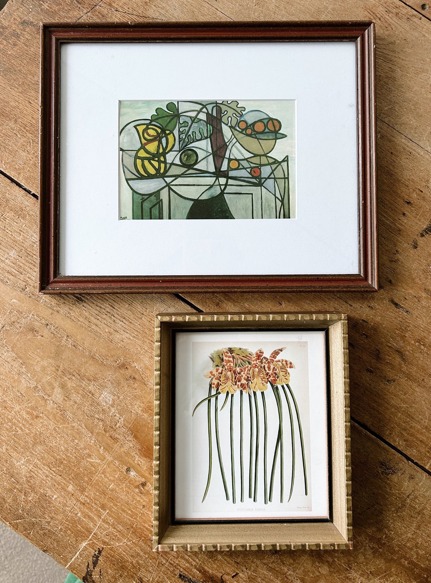 Vintage Framed Botanical Print