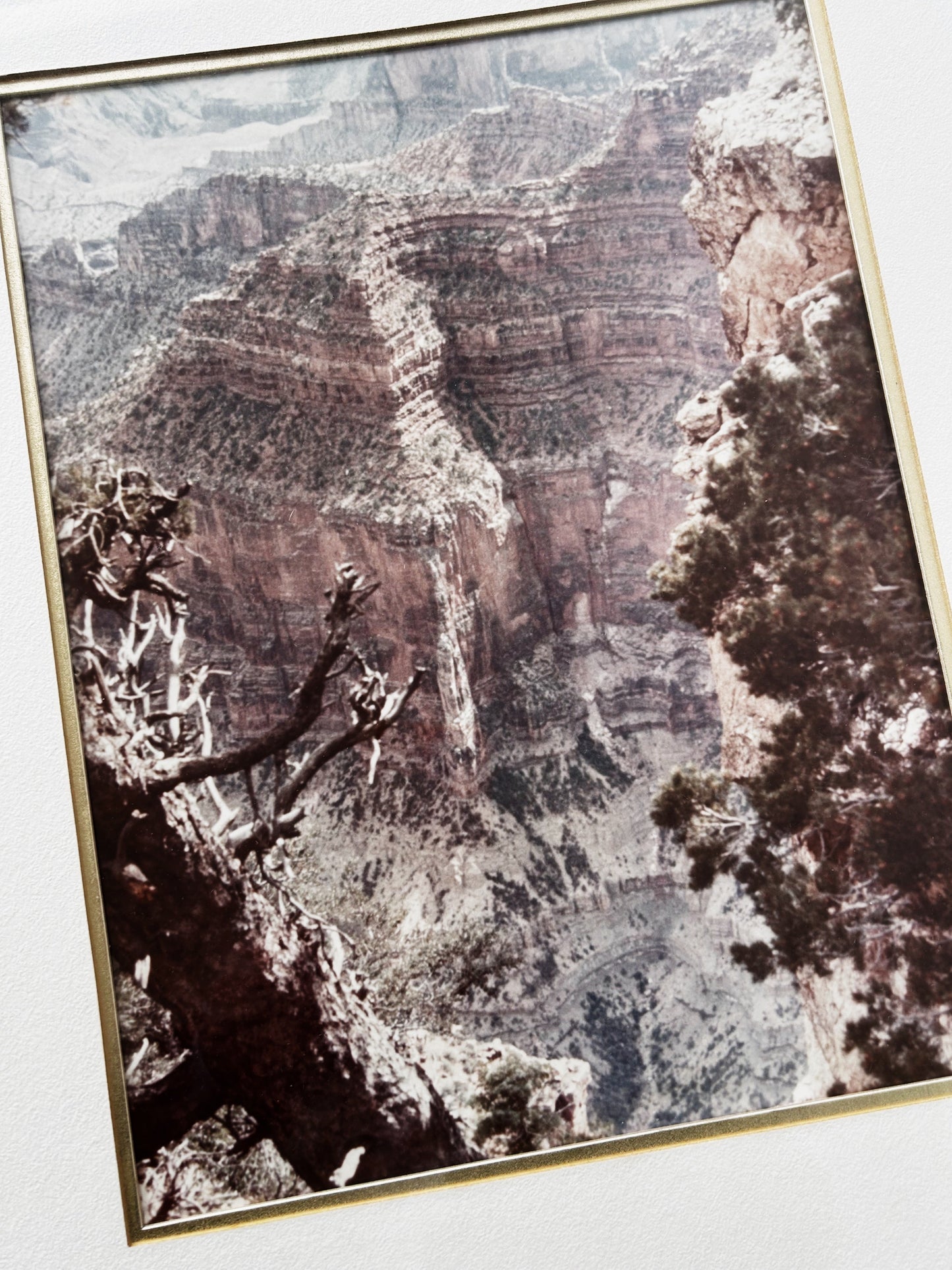 Large Format Framed Canyon Film Photograph