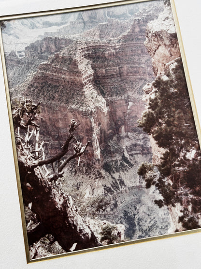 Large Format Framed Canyon Film Photograph