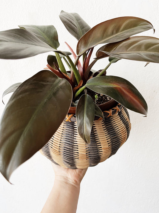 Vintage Striped Basket