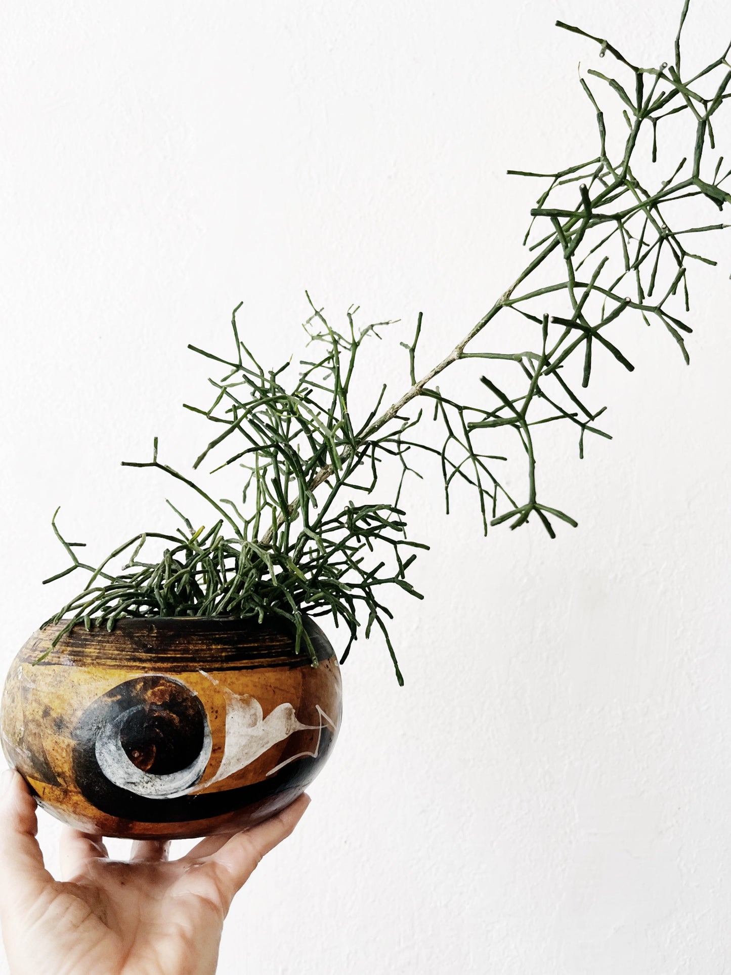 Mexican Terracotta Planter