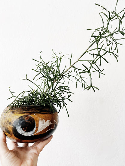 Mexican Terracotta Planter