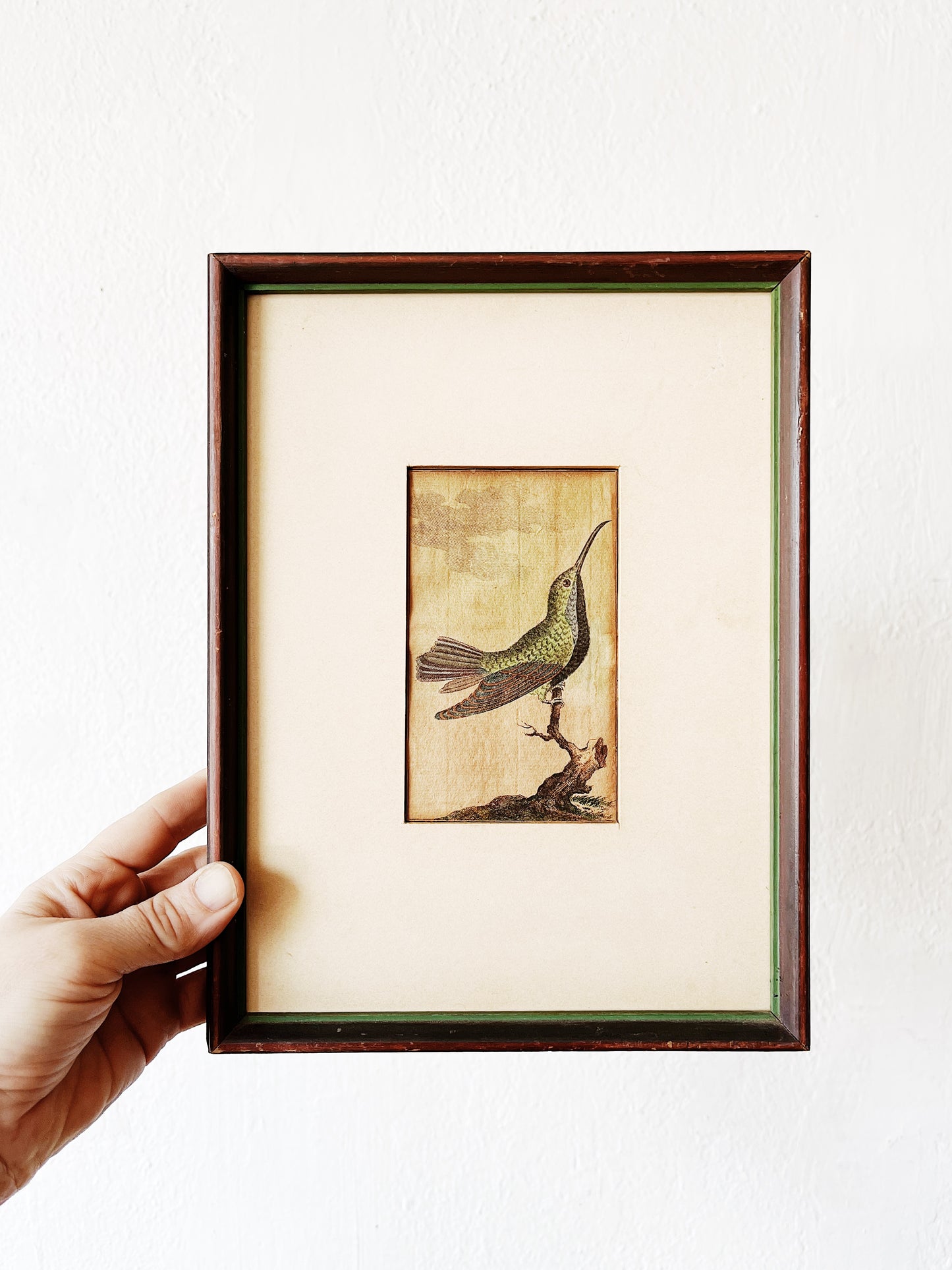 Antique German Hummingbird Plate