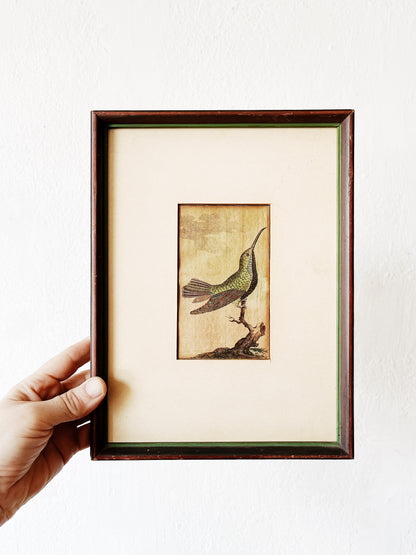 Antique German Hummingbird Plate