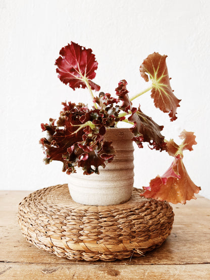 Antique Bun Basket