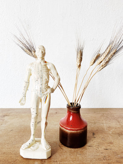 Vintage Reflexology Model
