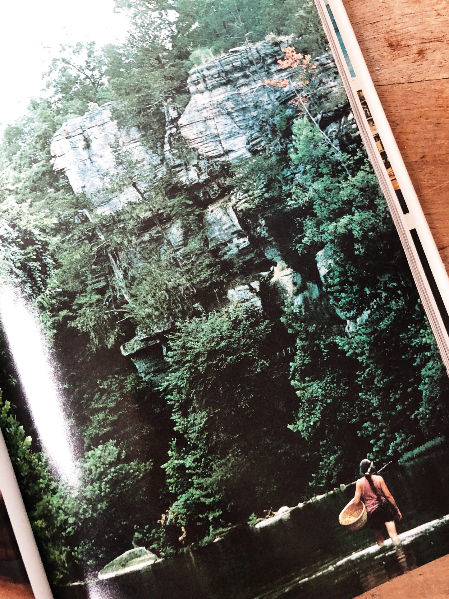 1970s Healing Arts Book