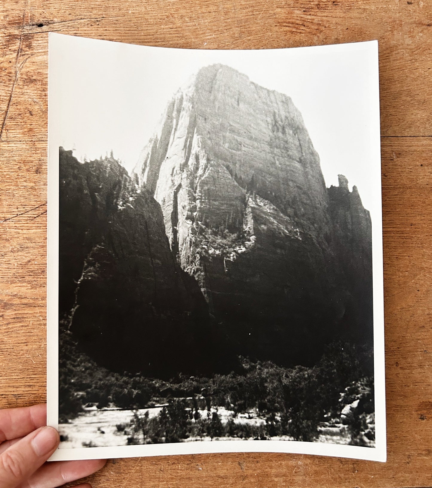 1940’s National Park Black and White Photo