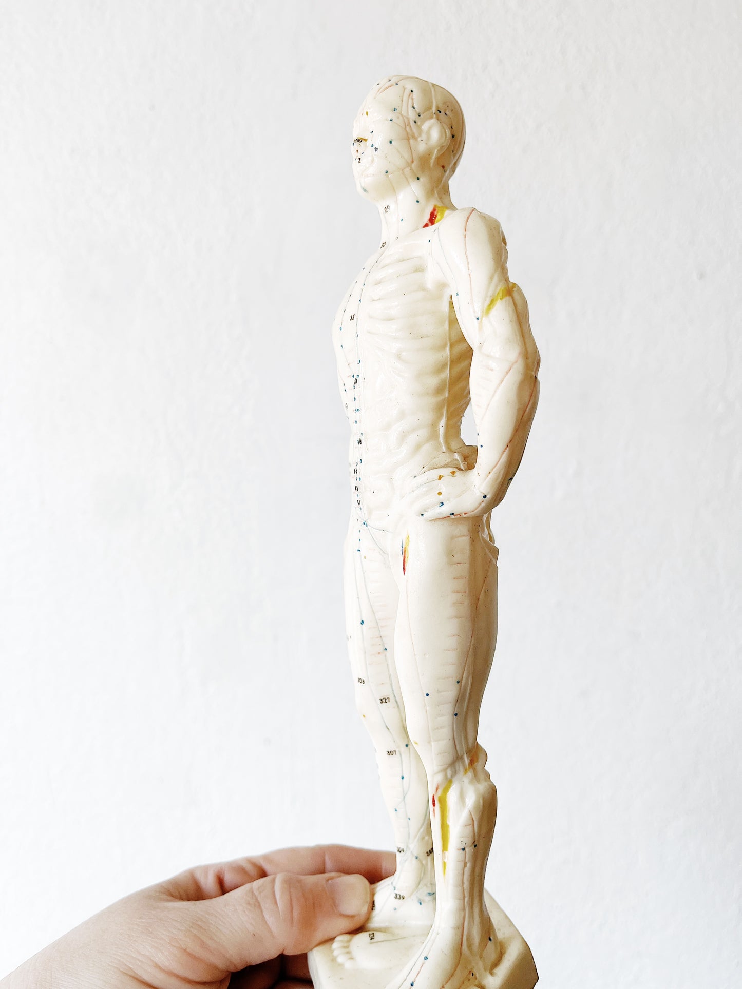 Vintage Reflexology Model