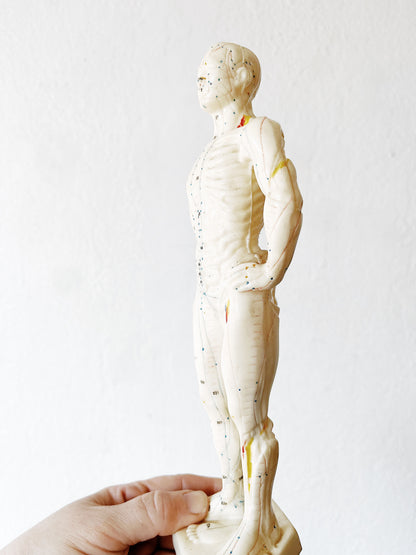Vintage Reflexology Model