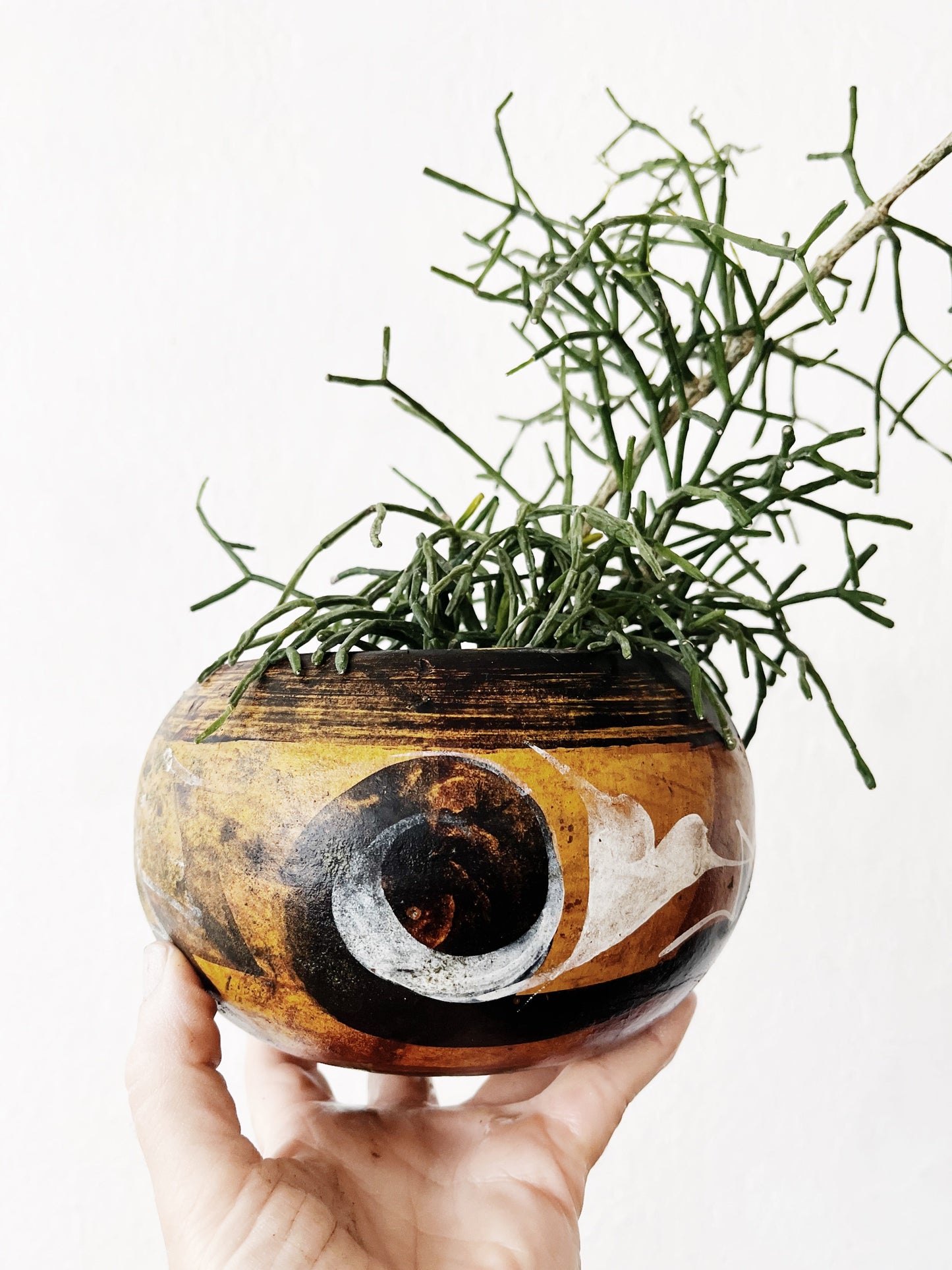 Mexican Terracotta Planter